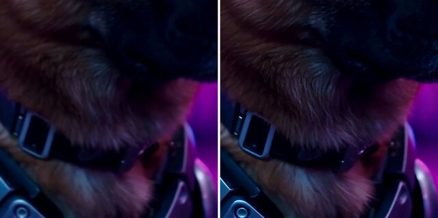 Close-up of a dog's fur and collar: bicubic upscale on the left, Kandinsky 6.0 super-resolution on the right
