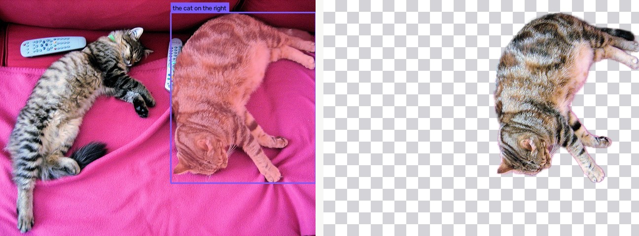 Cut-out of 'the cat on the right' in a COCO photo, overlay and transparent cut-out